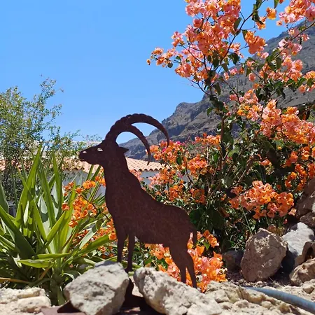 Gaestehaus Casa Roca