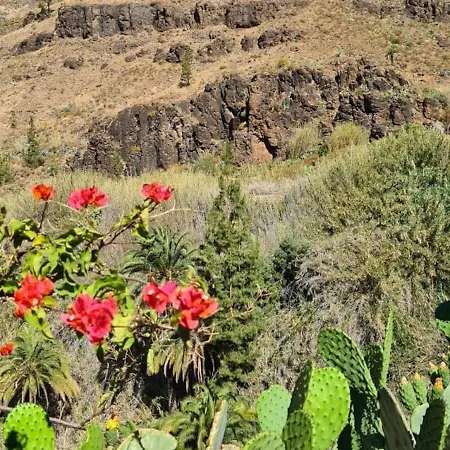 Gaestehaus Casa Roca *