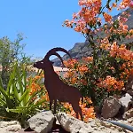 Gaestehaus Casa Roca